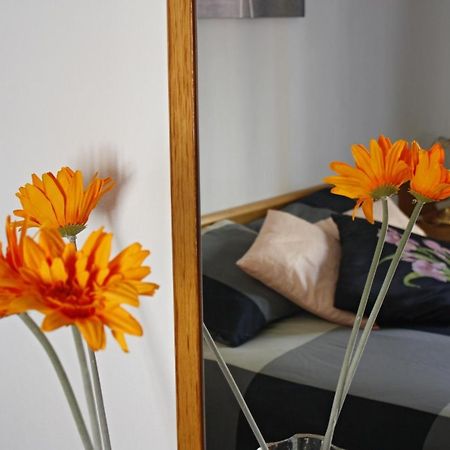 Apartament Sant Joan Sant Joan De Villatorrada Pokoj fotografie